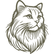 Maine Coon cat design featuring a detailed, long-haired mane, expressive eyes, and a regal posture, capturing the breed’s majestic and intelligent nature.