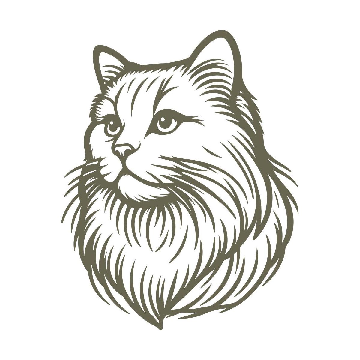 Maine Coon cat design featuring a detailed, long-haired mane, expressive eyes, and a regal posture, capturing the breed’s majestic and intelligent nature.