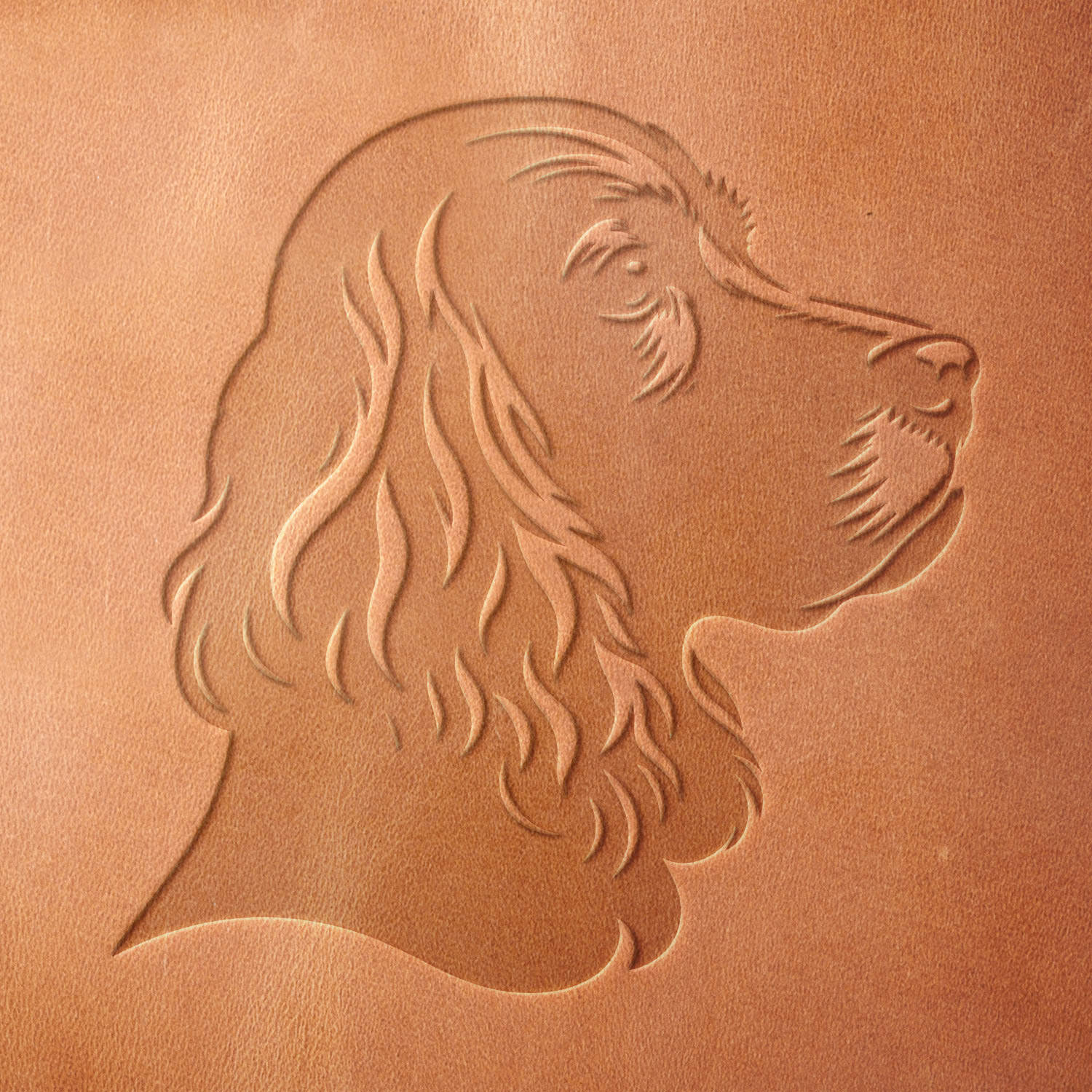 Leather sample showcasing a stamped spaniel head design using a delrin leather stamp, highlighting the dog’s flowing coat and noble profile.