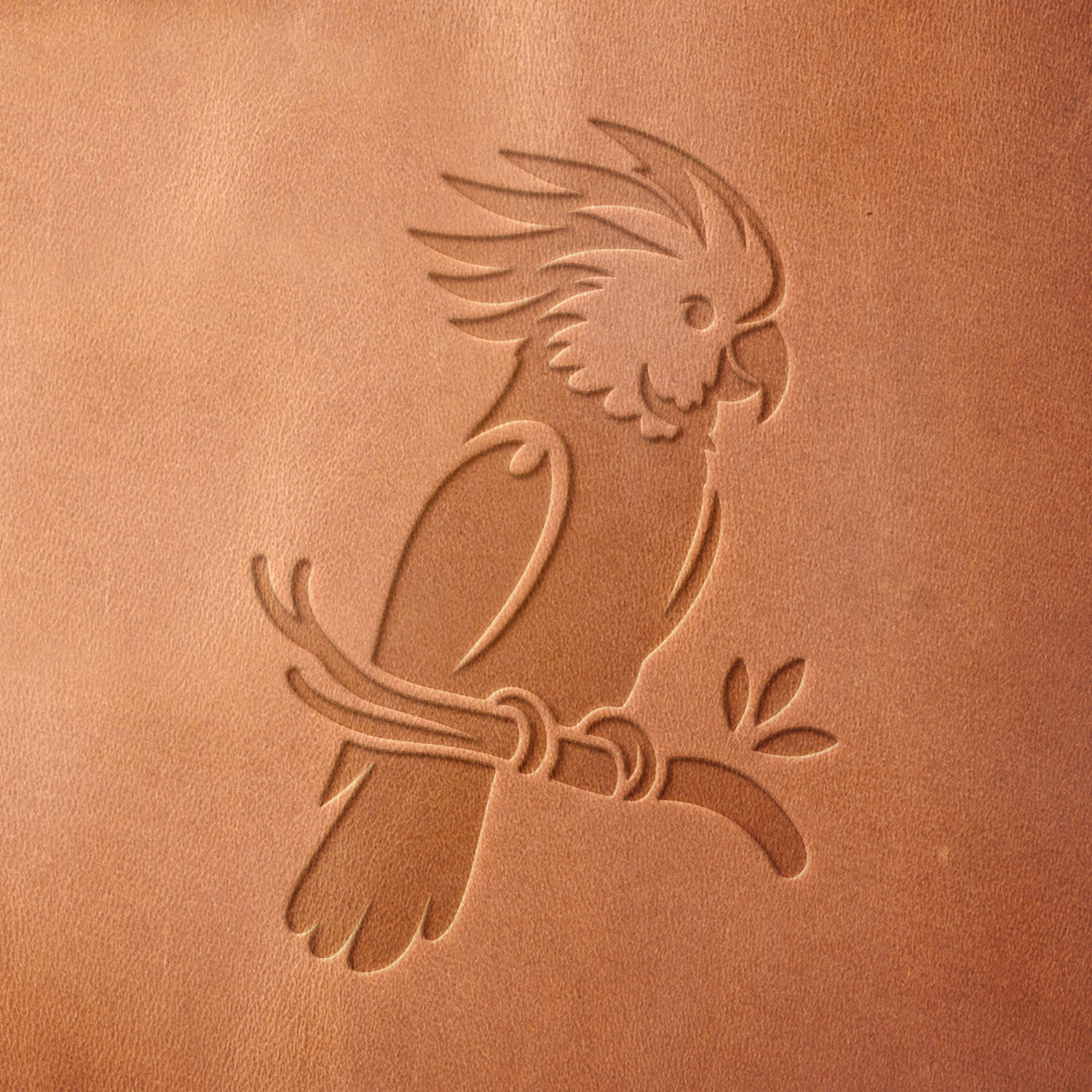 Leather sample with a crisp cockatoo stamp impression from a Delrin leather stamp, ideal for creating high-quality bird-themed leathercraft projects.