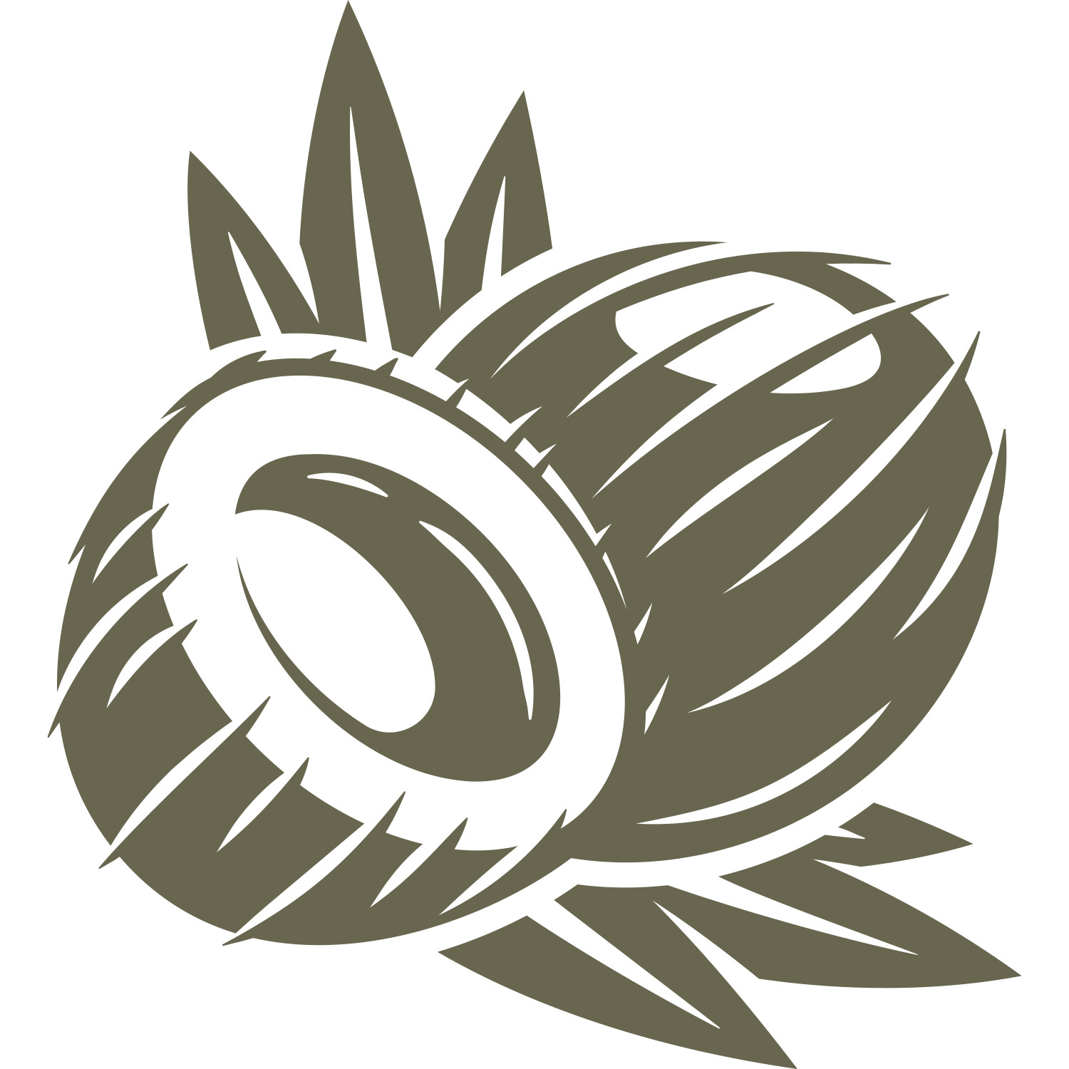 Coconut stamp design with split coconut and tropical leaves
