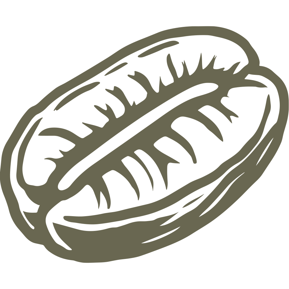 Detailed coffee bean design with organic texture, perfect for coffee lovers and branding projects.