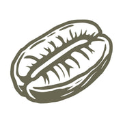 Detailed coffee bean design with organic texture, perfect for coffee lovers and branding projects.