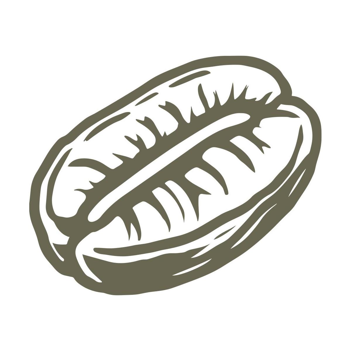 Detailed coffee bean design with organic texture, perfect for coffee lovers and branding projects.