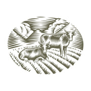 Two cows in a field with clouds and crops, designed for Delrin leather stamping