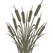 Delrin leather stamp featuring a bundle of tall cattails with long stems and slender leaves—ideal for adding rustic, wetland-inspired details to journals, wallets, or nature-themed leather pieces.