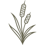 Cattails Delrin Leather Stamp