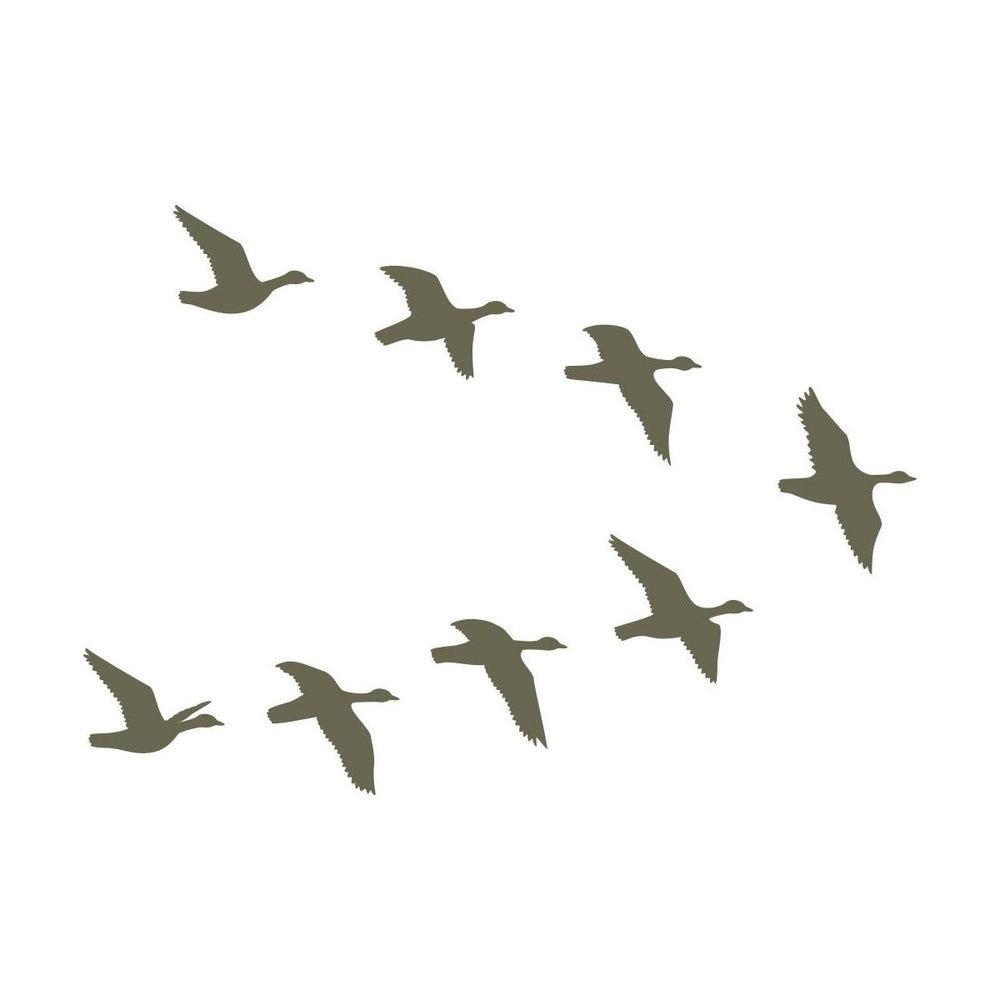 Silhouette of a flock of birds flying in a V-formation, representing migratory birds in motion.