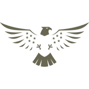 Stylized patriotic eagle design featuring outstretched wings, a bold head profile, and star accents arranged symmetrically.