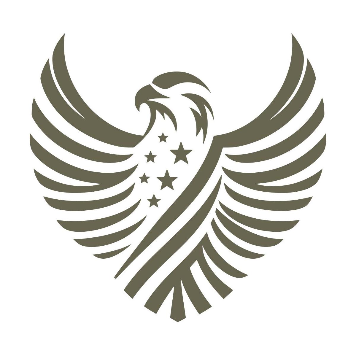 Patriotic Flag Eagle Delrin Leather Stamp