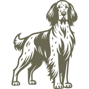 Stately setter dog design featuring distinctive spotting, an elegant stance, and expressive ears.