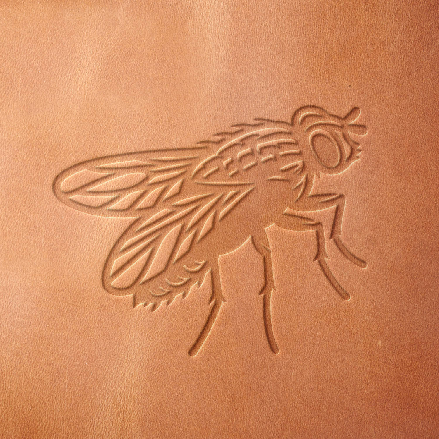 Leather sample showcasing a stamped fly design using a delrin leather stamp, highlighting the insect’s detailed wing structure and segmented legs.