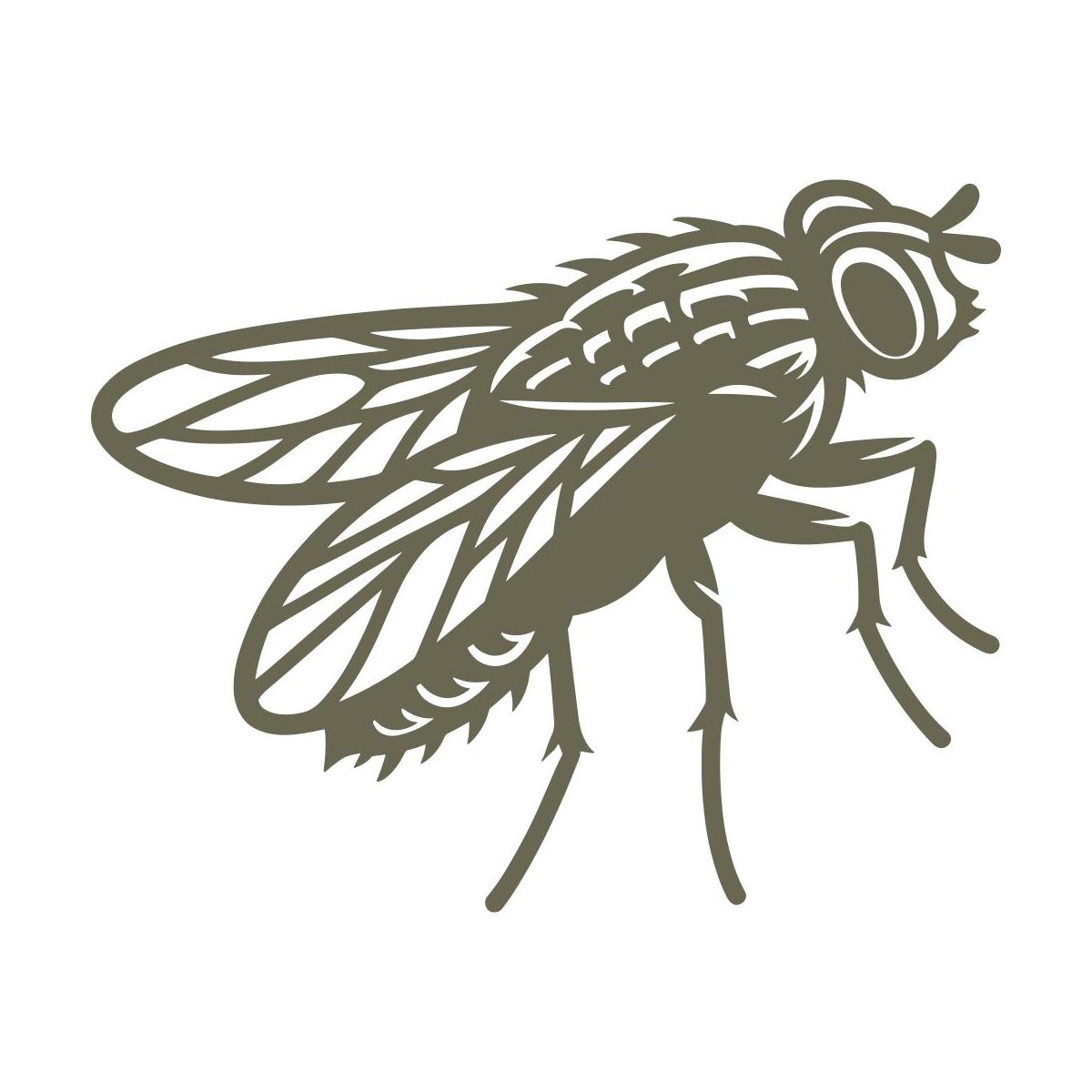 Detailed fly design featuring segmented body parts, large eyes, and intricately veined wings.