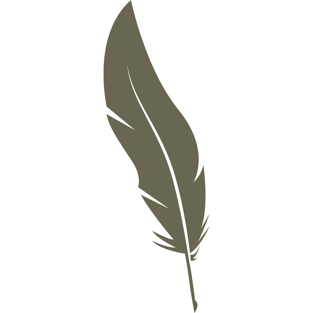 Minimal feather illustration with a slender quill and flowing shape, designed for use as a Delrin leather stamp.