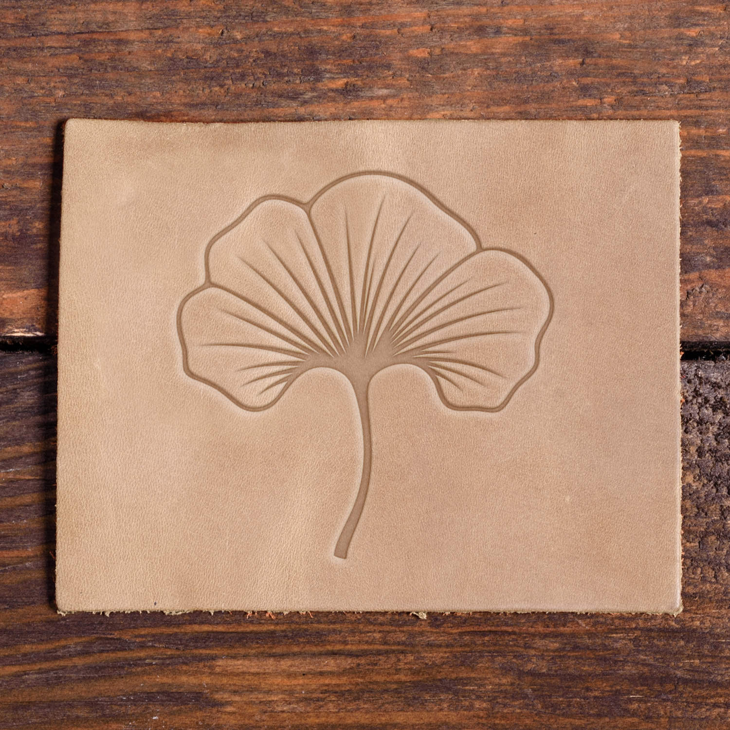 One stylized ginkgo leaf stamped into leather, showing crisp lines and natural curves with a Delrin leather stamp.