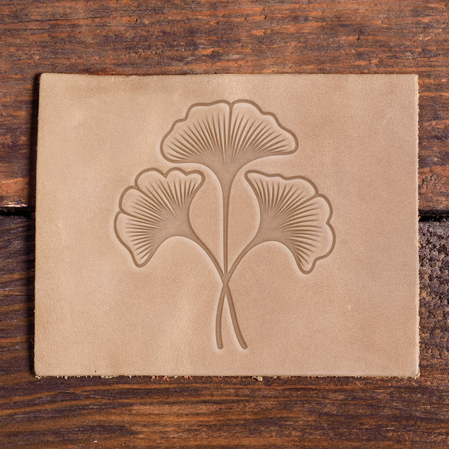 A trio of ginkgo leaves stamped into leather with fine detail and graceful lines using a Delrin leather stamp.