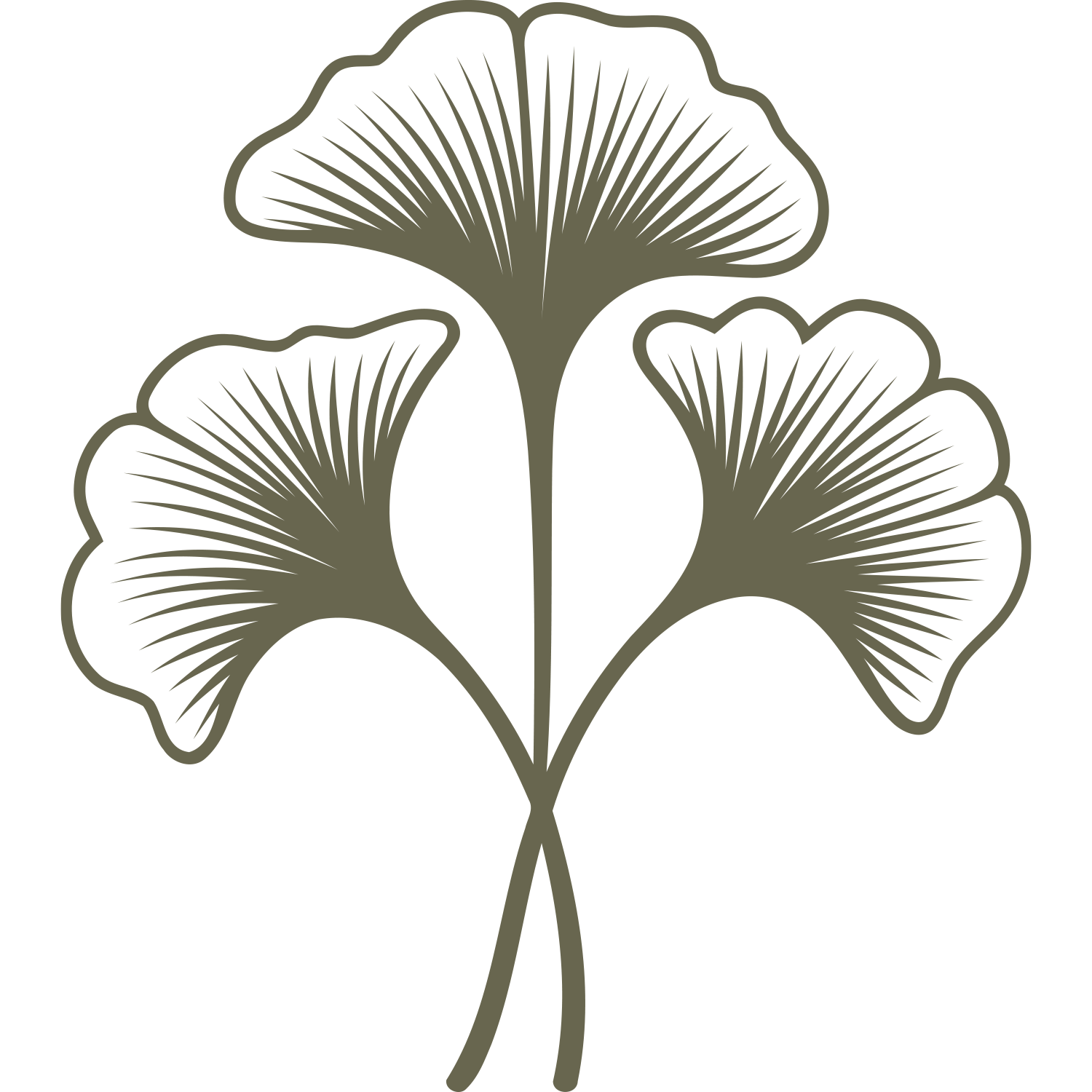 Three delicate ginkgo leaves with sweeping veins and curved stems, designed for leather stamping using a Delrin stamp.