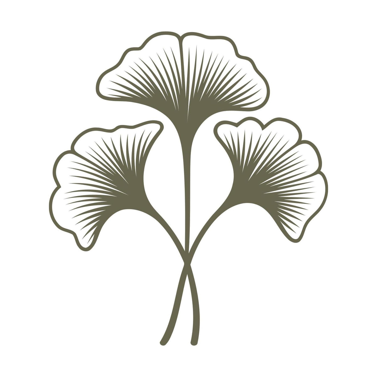Three delicate ginkgo leaves with sweeping veins and curved stems, designed for leather stamping using a Delrin stamp.