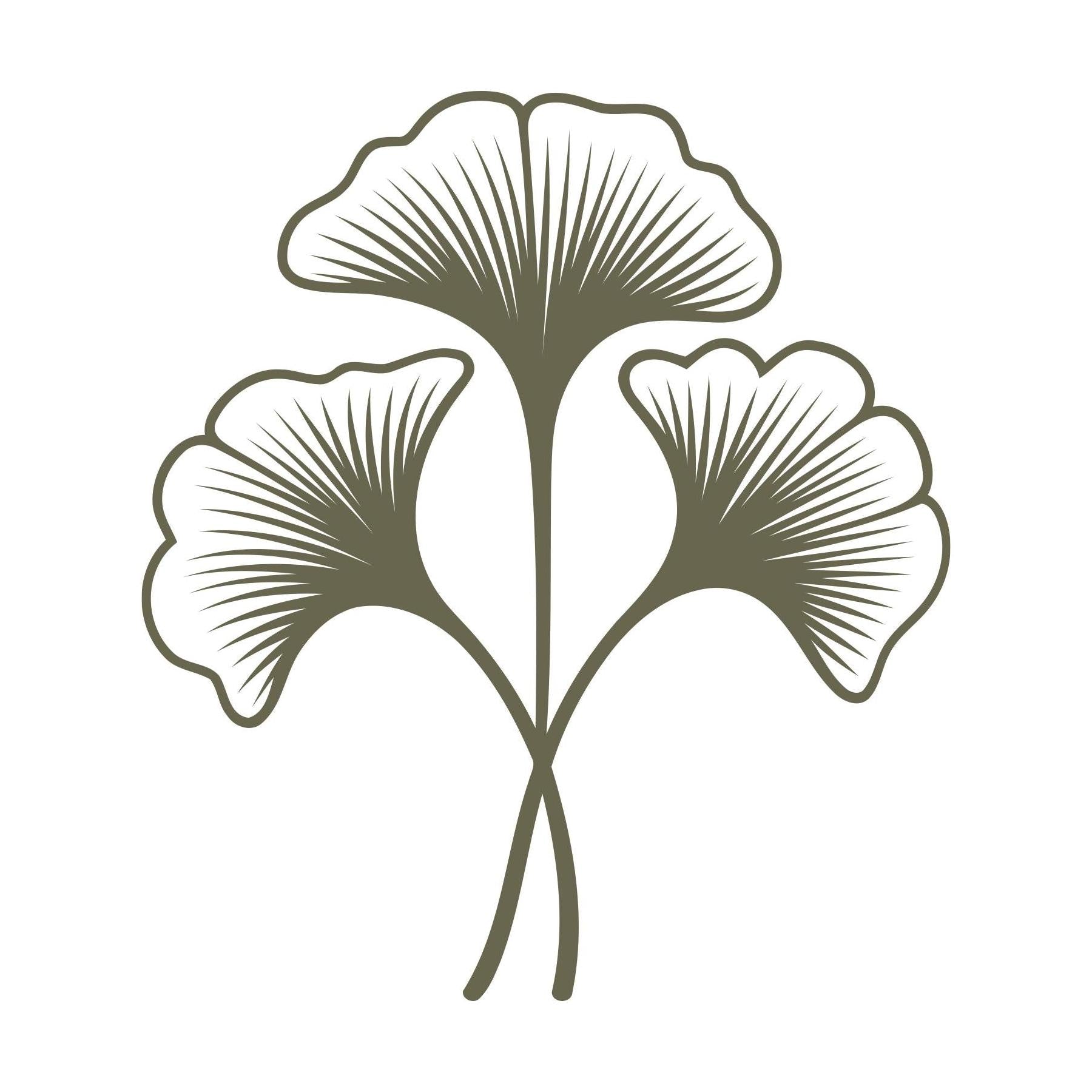 Three delicate ginkgo leaves with sweeping veins and curved stems, designed for leather stamping using a Delrin stamp.