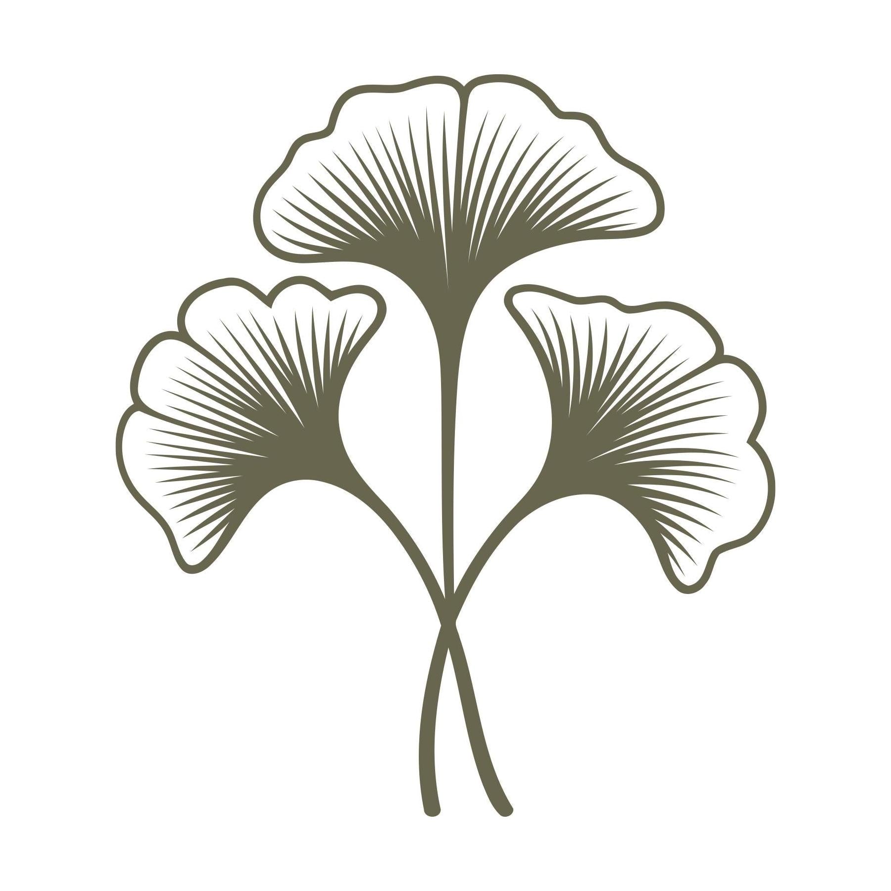 Three delicate ginkgo leaves with sweeping veins and curved stems, designed for leather stamping using a Delrin stamp.