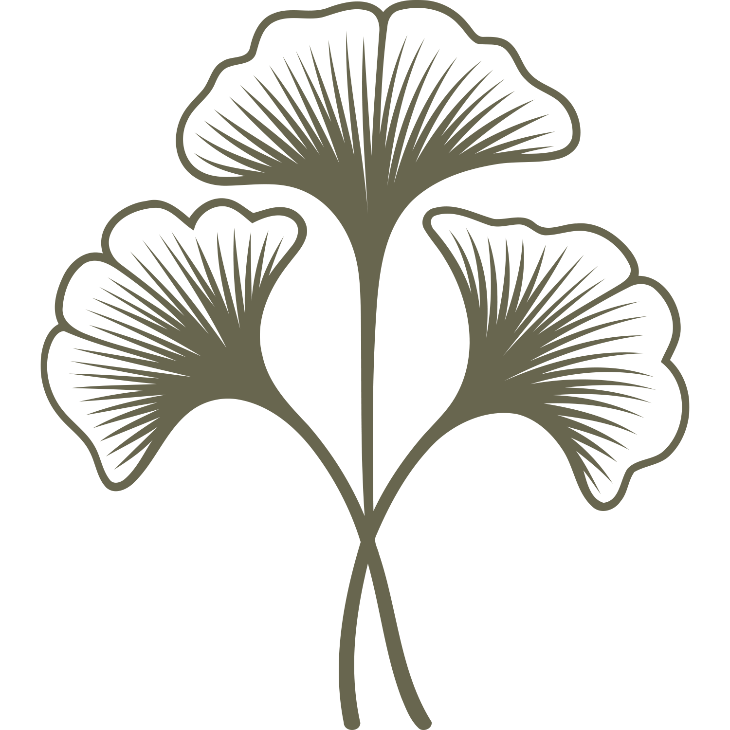 Three delicate ginkgo leaves with sweeping veins and curved stems, designed for leather stamping using a Delrin stamp.