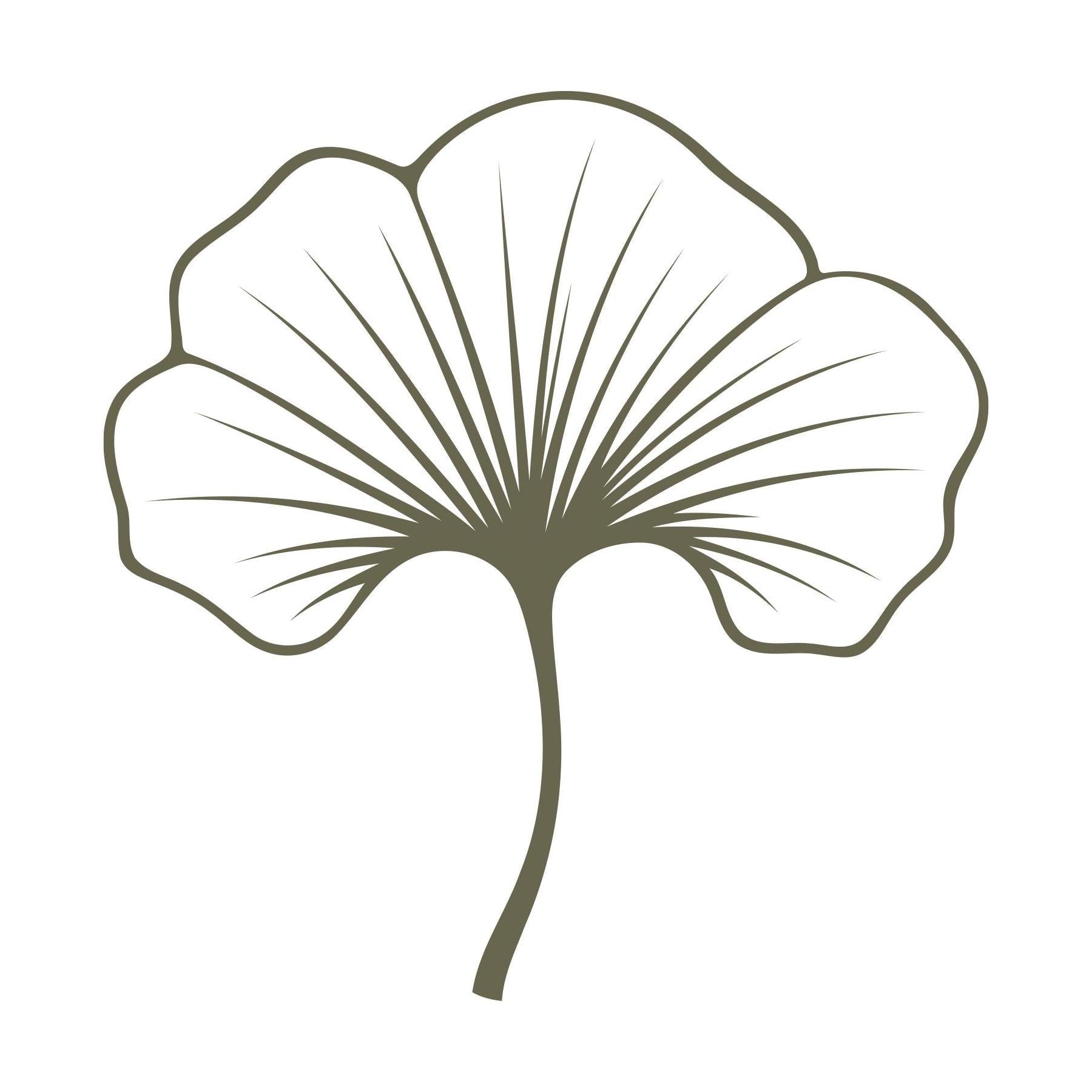 Single ginkgo leaf with bold fan shape and fine veining, designed for leather stamping using a Delrin stamp.
