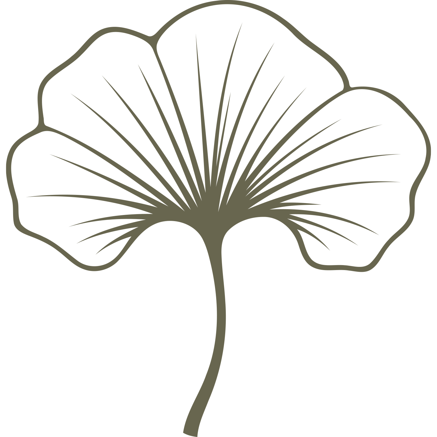 Single ginkgo leaf with bold fan shape and fine veining, designed for leather stamping using a Delrin stamp.