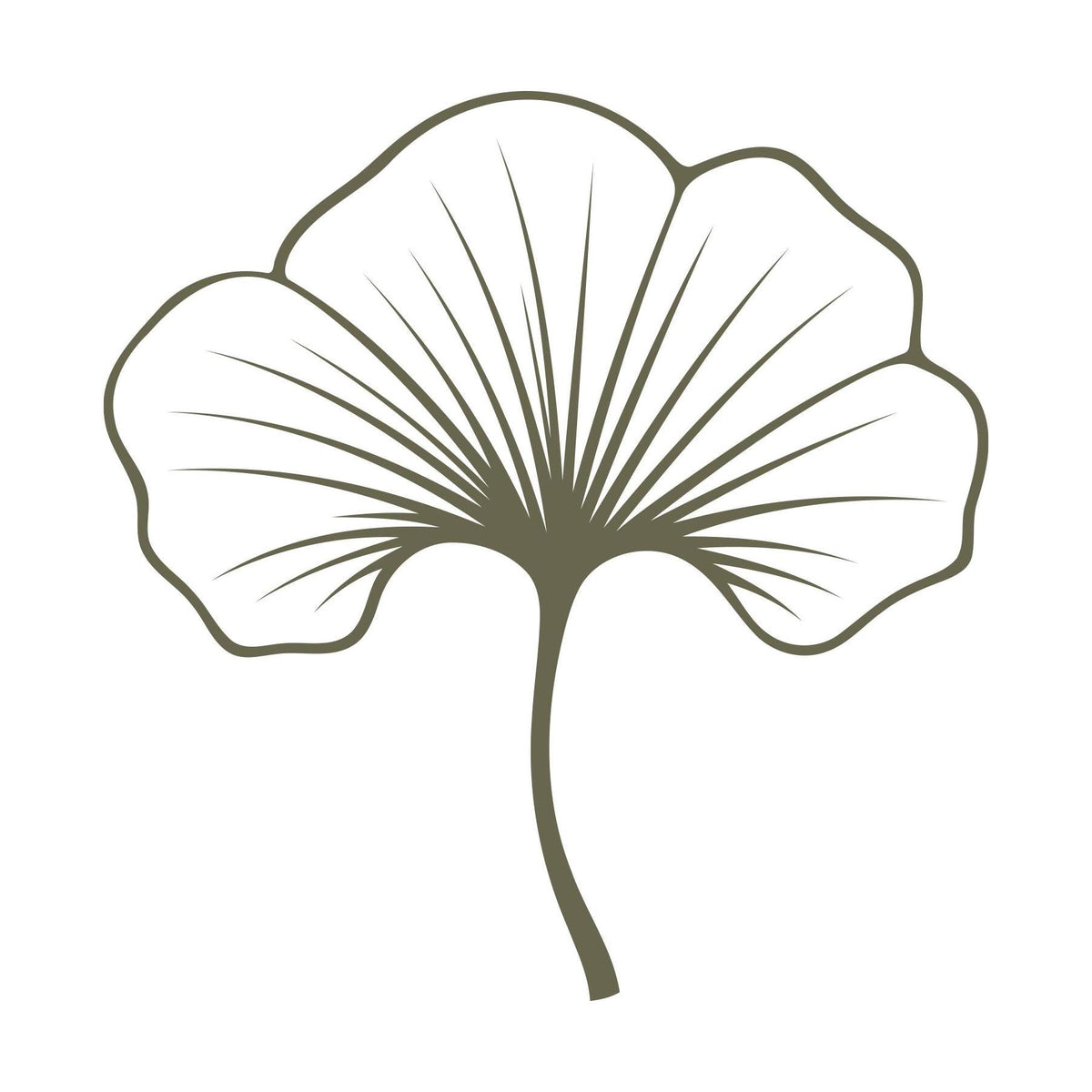 Single ginkgo leaf with bold fan shape and fine veining, designed for leather stamping using a Delrin stamp.
