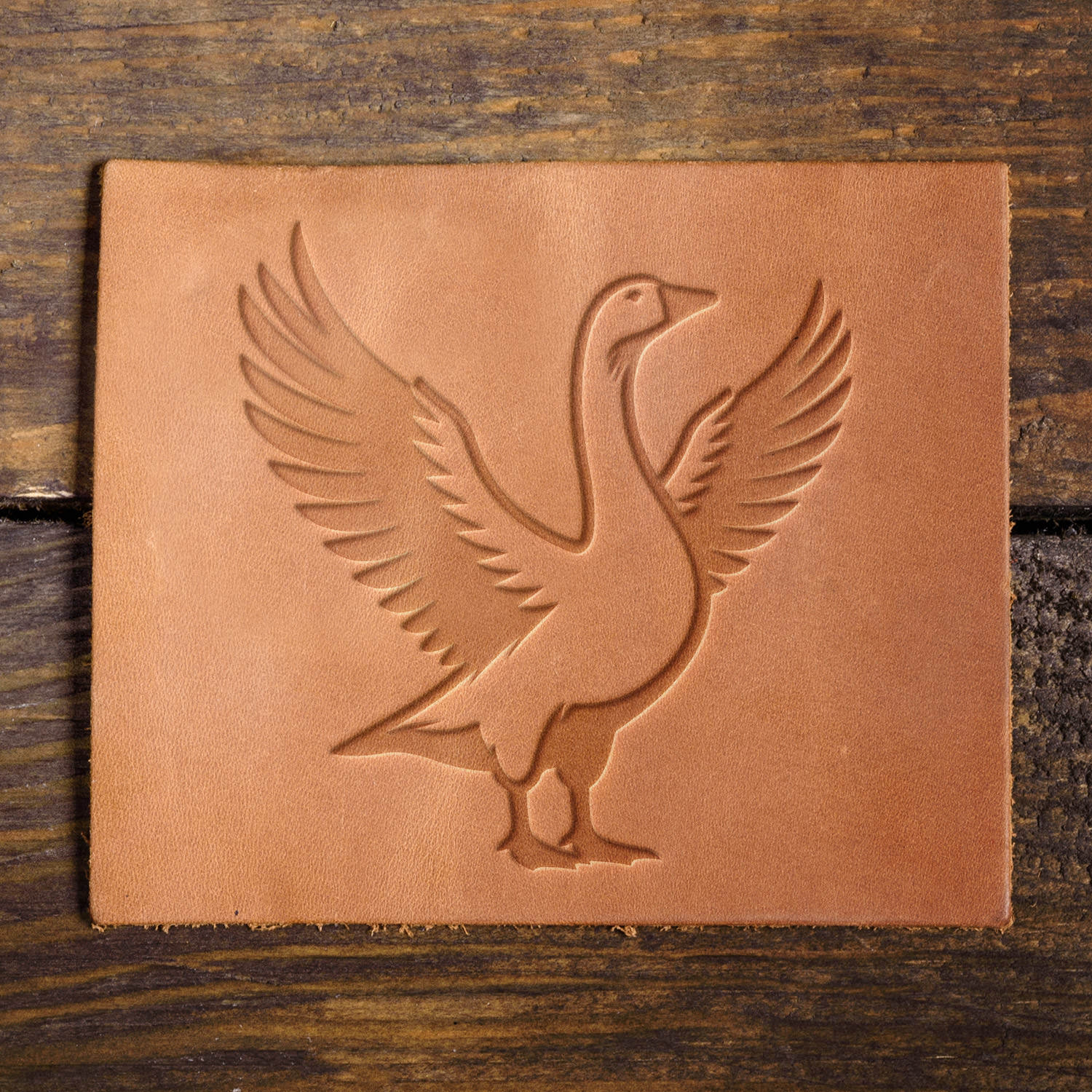 Leather sample featuring a crisp goose stamp impression, showcasing raised wings and fine feather details.