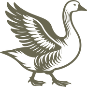 Detailed illustration of a goose with raised wings, showcasing bold lines and feathered texture.