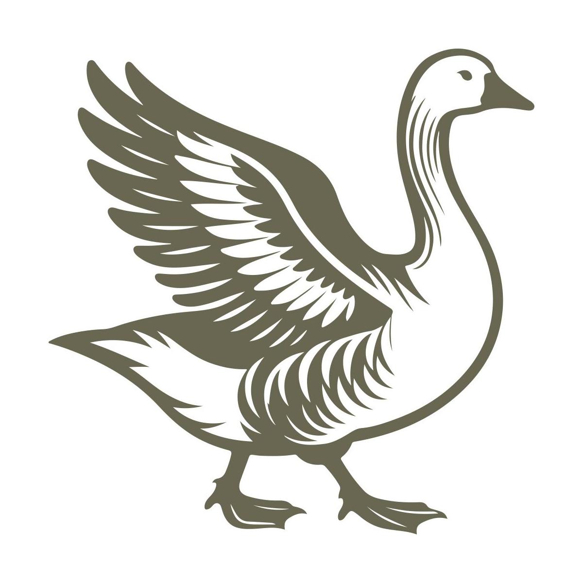 Detailed illustration of a goose with raised wings, showcasing bold lines and feathered texture.