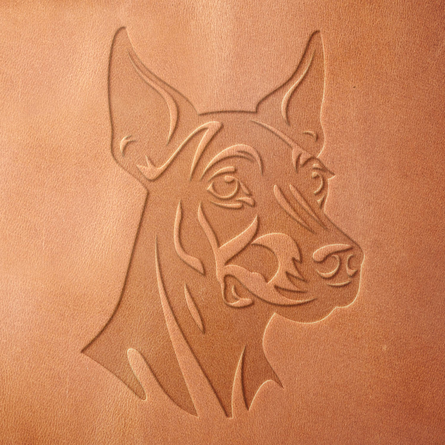 Leather sample showcasing a stamped Doberman head design using a delrin leather stamp, highlighting the breed’s defined facial structure and intense gaze.