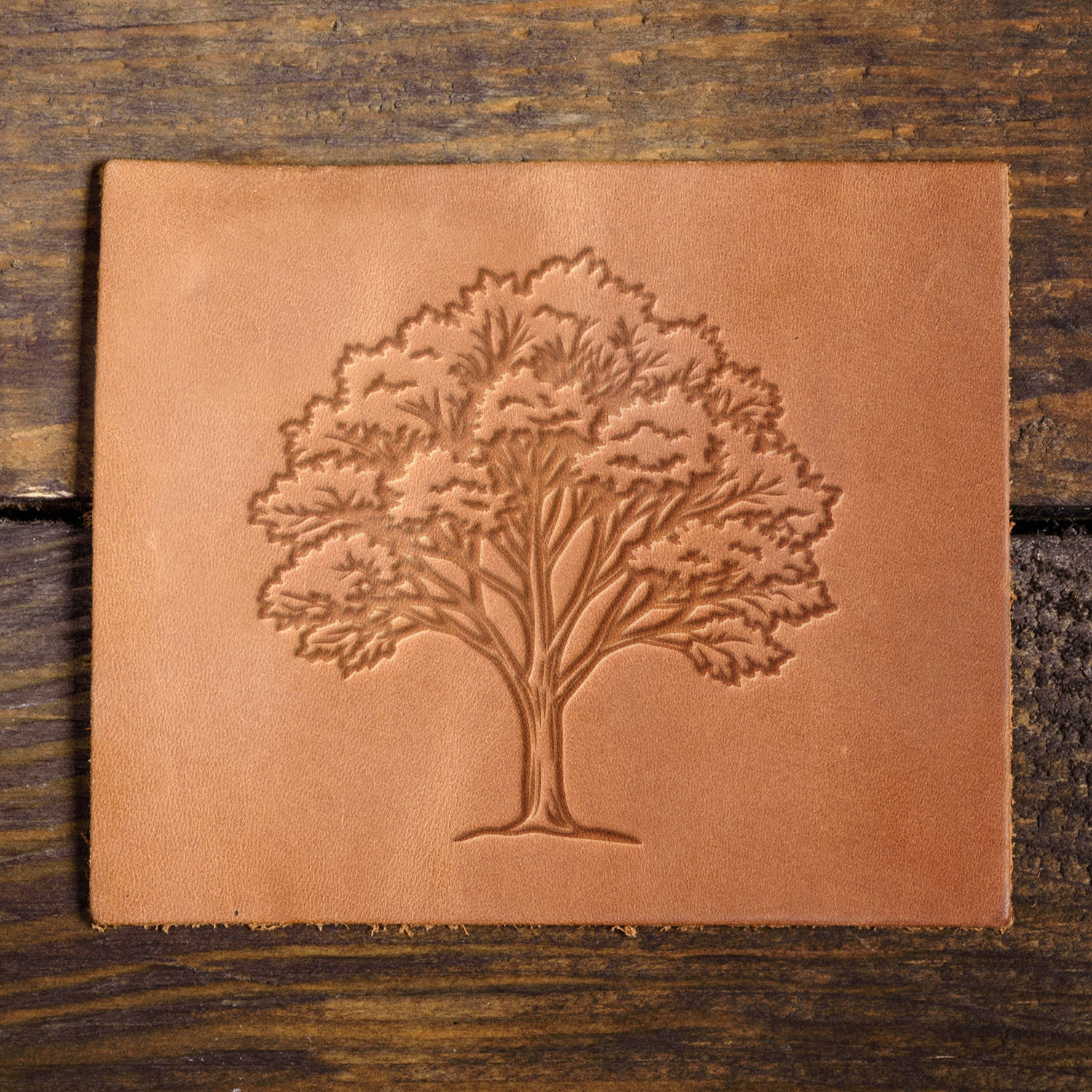 Leather sample with a crisp tree stamp impression, adding a natural and organic touch to leather projects.