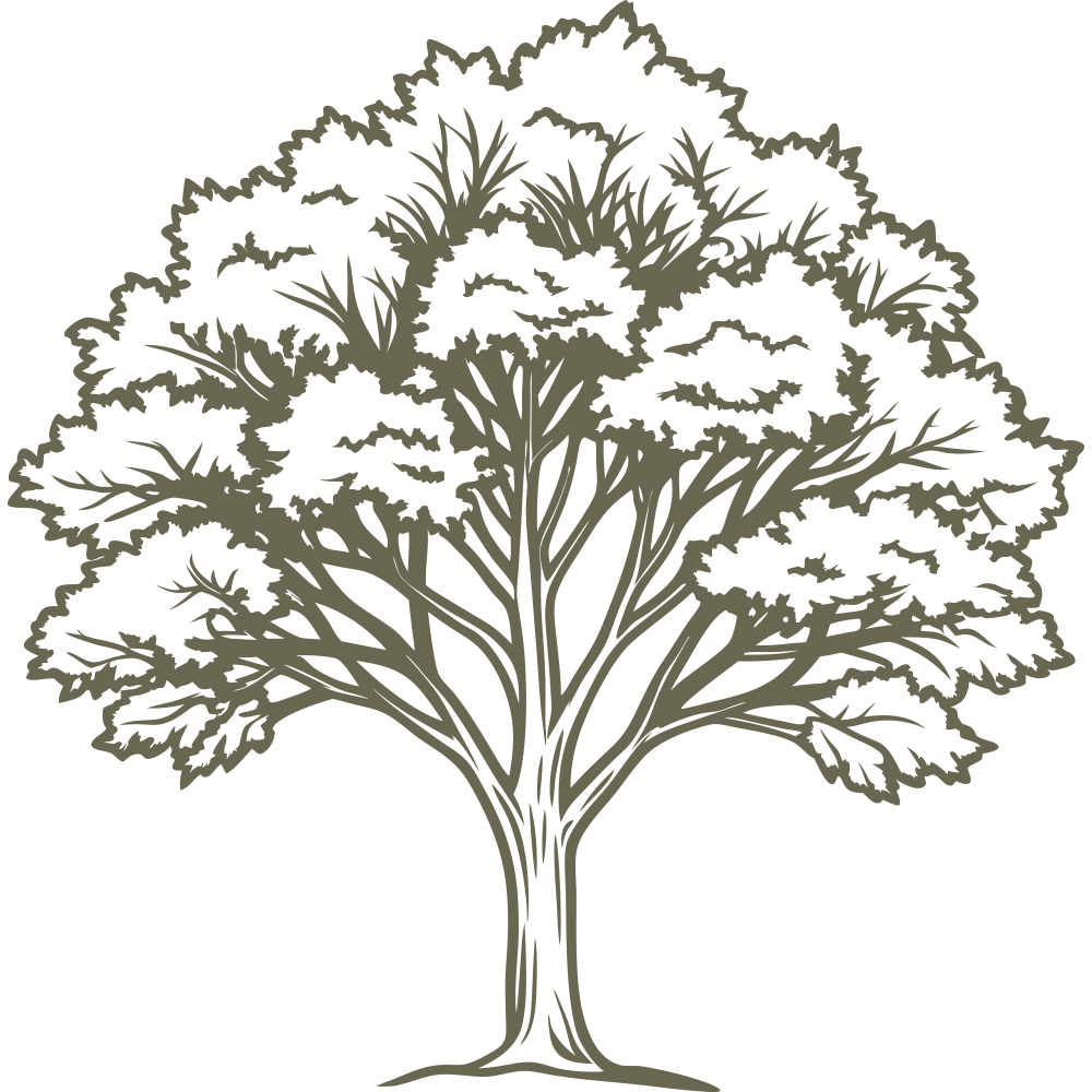 Detailed tree design with a full canopy of leaves and strong branches, symbolizing nature and growth.