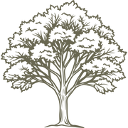 Detailed tree design with a full canopy of leaves and strong branches, symbolizing nature and growth.