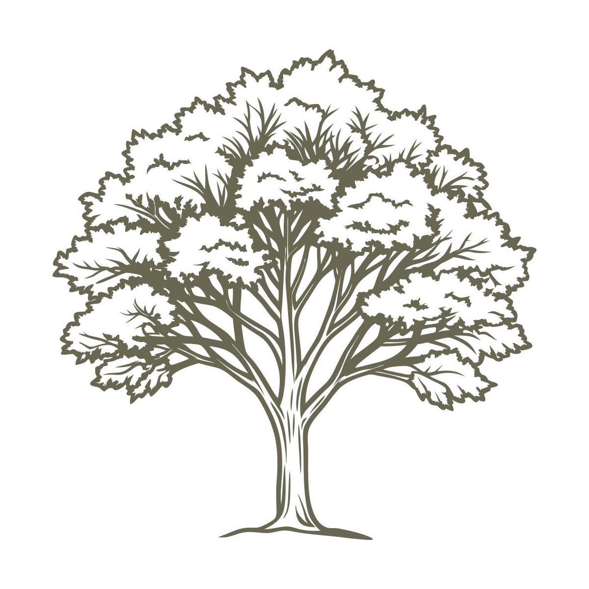 Detailed tree design with a full canopy of leaves and strong branches, symbolizing nature and growth.