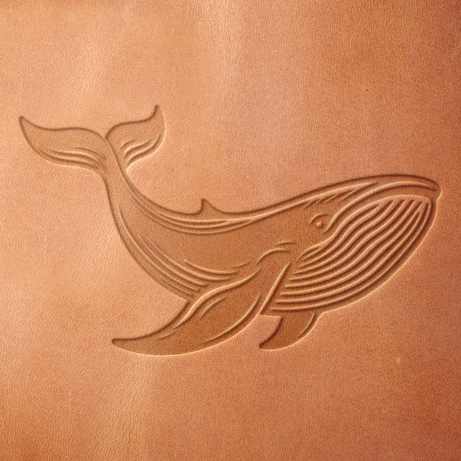 Leather piece stamped with a Delrin leather stamp of a majestic whale in motion—ideal for nautical projects, beachy leather accents, or sea life themed items.