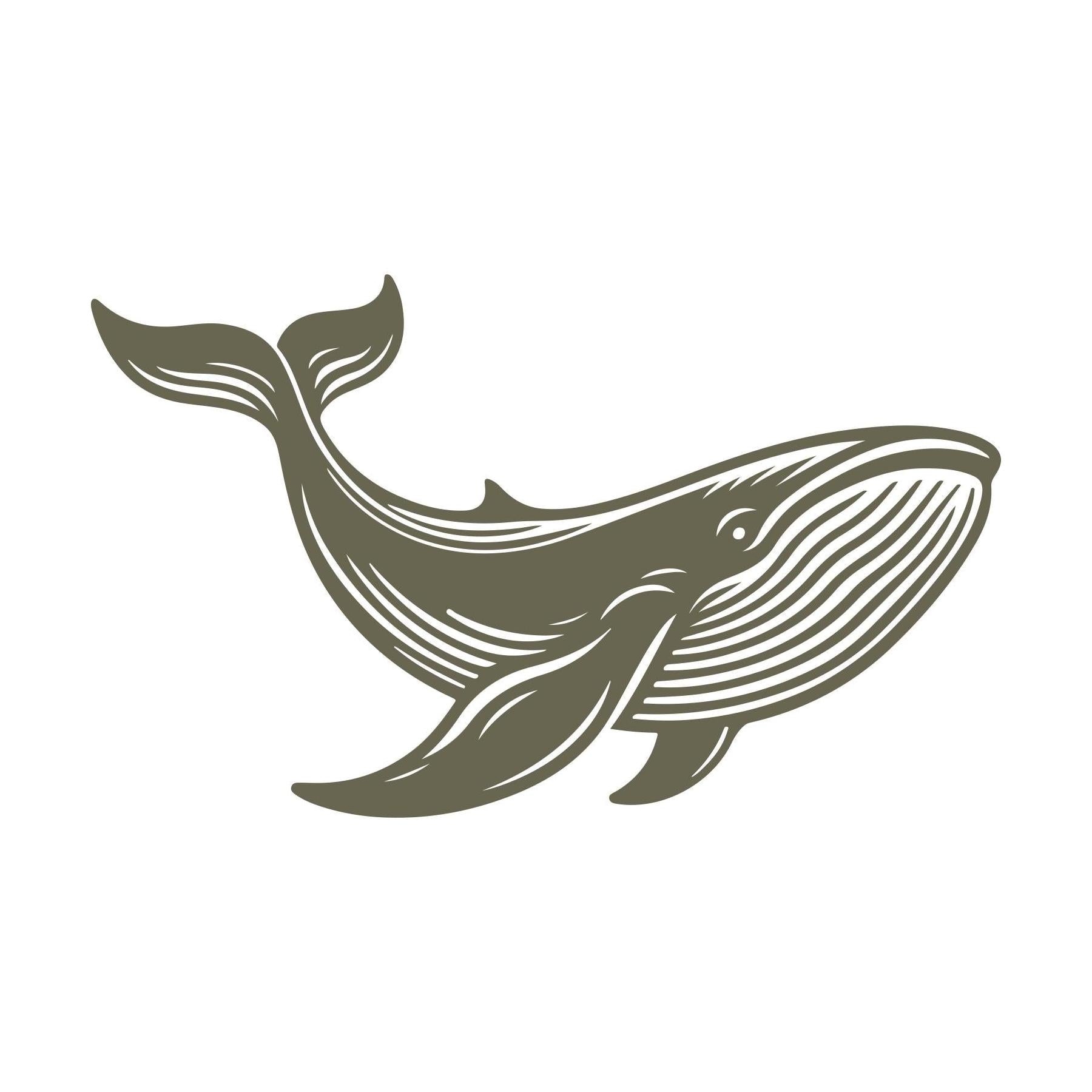 Graceful whale illustration in Delrin leather stamp form, featuring flowing lines and detailed fins—perfect for ocean-inspired leatherwork, marine-themed gifts, or coastal accessories.