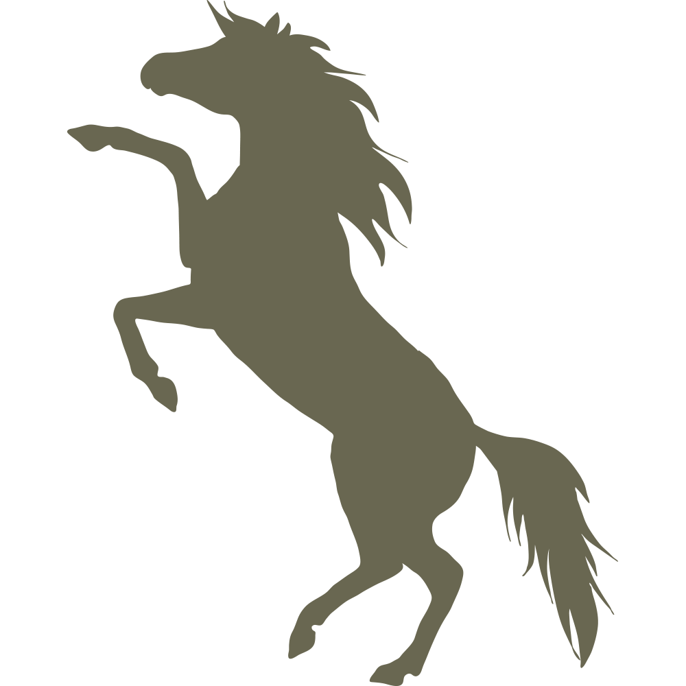 Delrin leather stamp design of a rearing horse in a bold silhouette style.