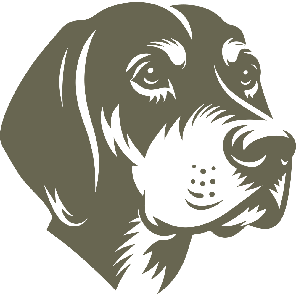 Detailed hound dog head illustration with expressive eyes, soft muzzle lines, and textured fur—perfect for custom leather gifts or dog-themed leathercraft.