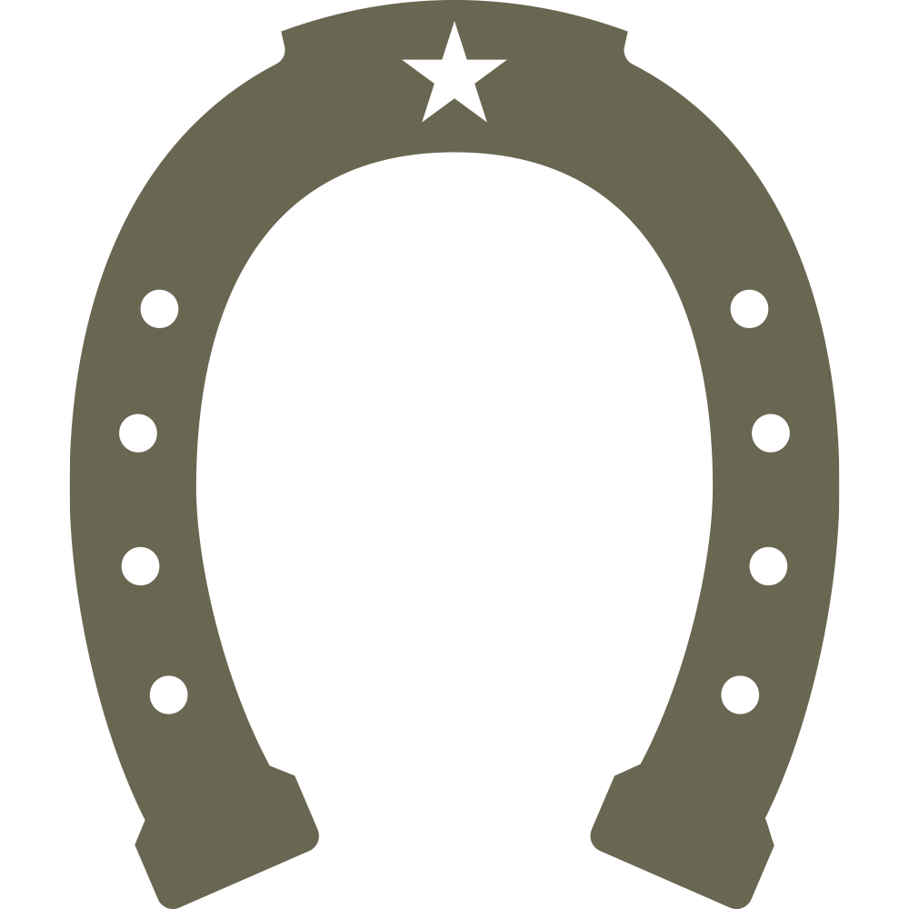 Classic horseshoe design featuring a star at the top and evenly spaced nail holes, symbolizing luck and Western heritage.