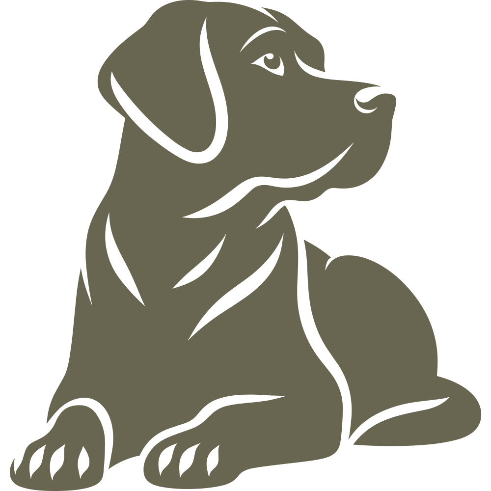 An image showcasing the Labrador Dog Delrin Leather Stamp, featuring a solid dark olive green color filling the entire frame without any other features, objects, or distinctive marks.