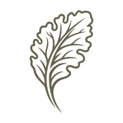Ruffled Leaf Delrin Leather Stamp