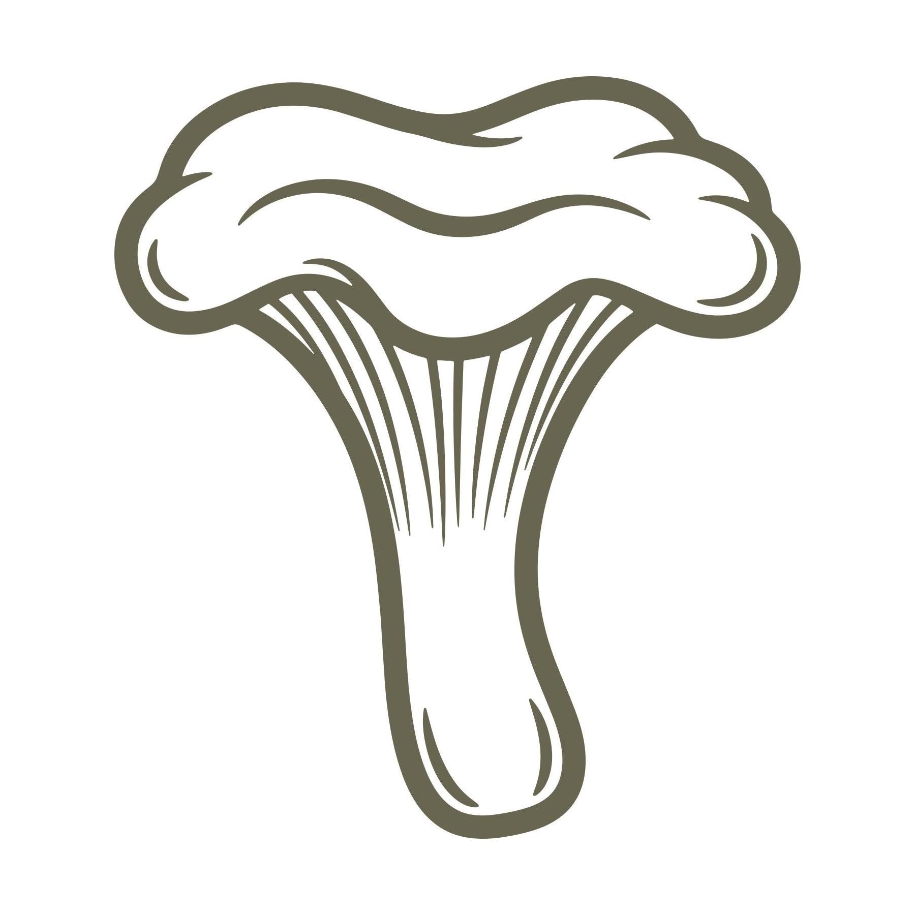 Chanterelle Mushroom Delrin Leather Stamp
