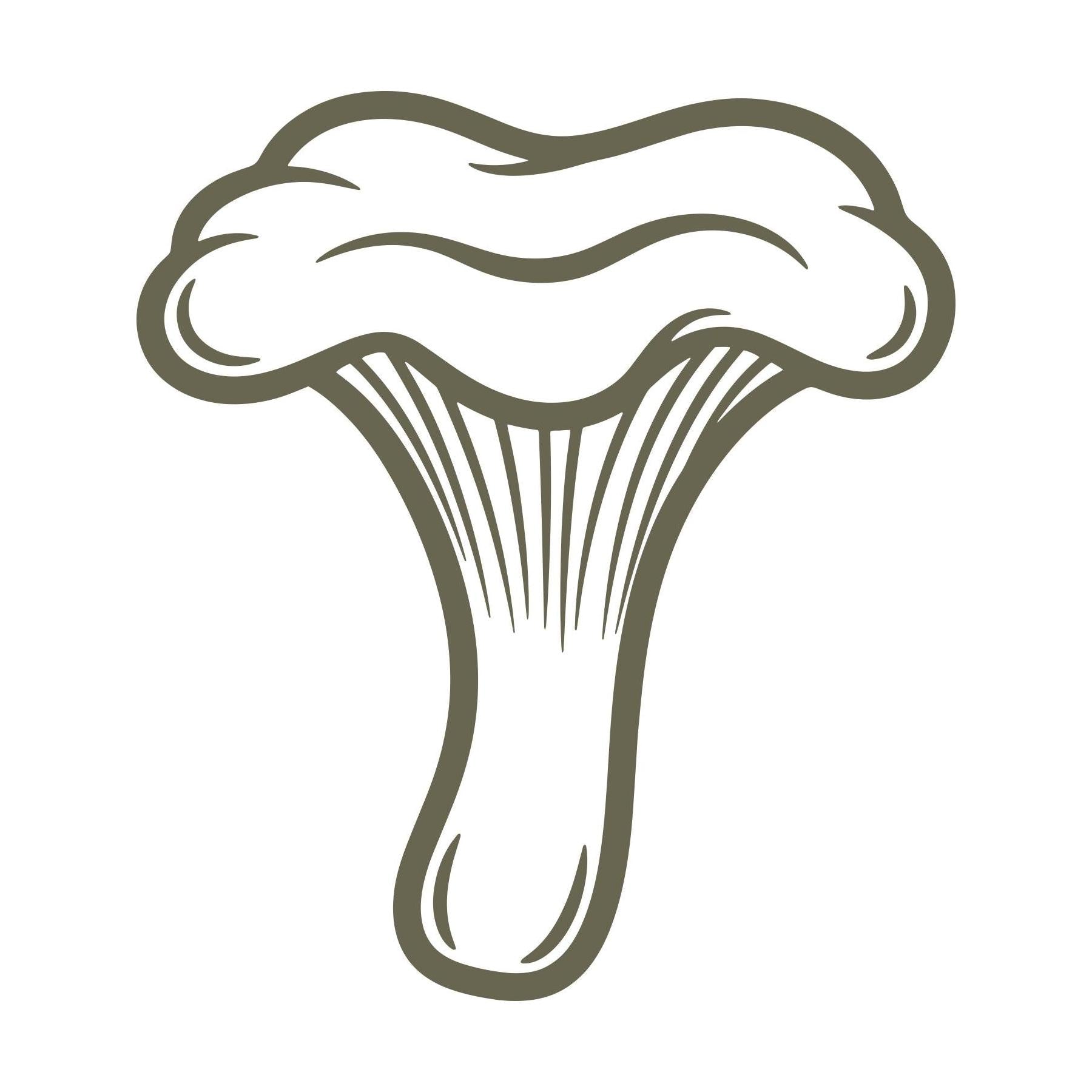 Chanterelle Mushroom Delrin Leather Stamp