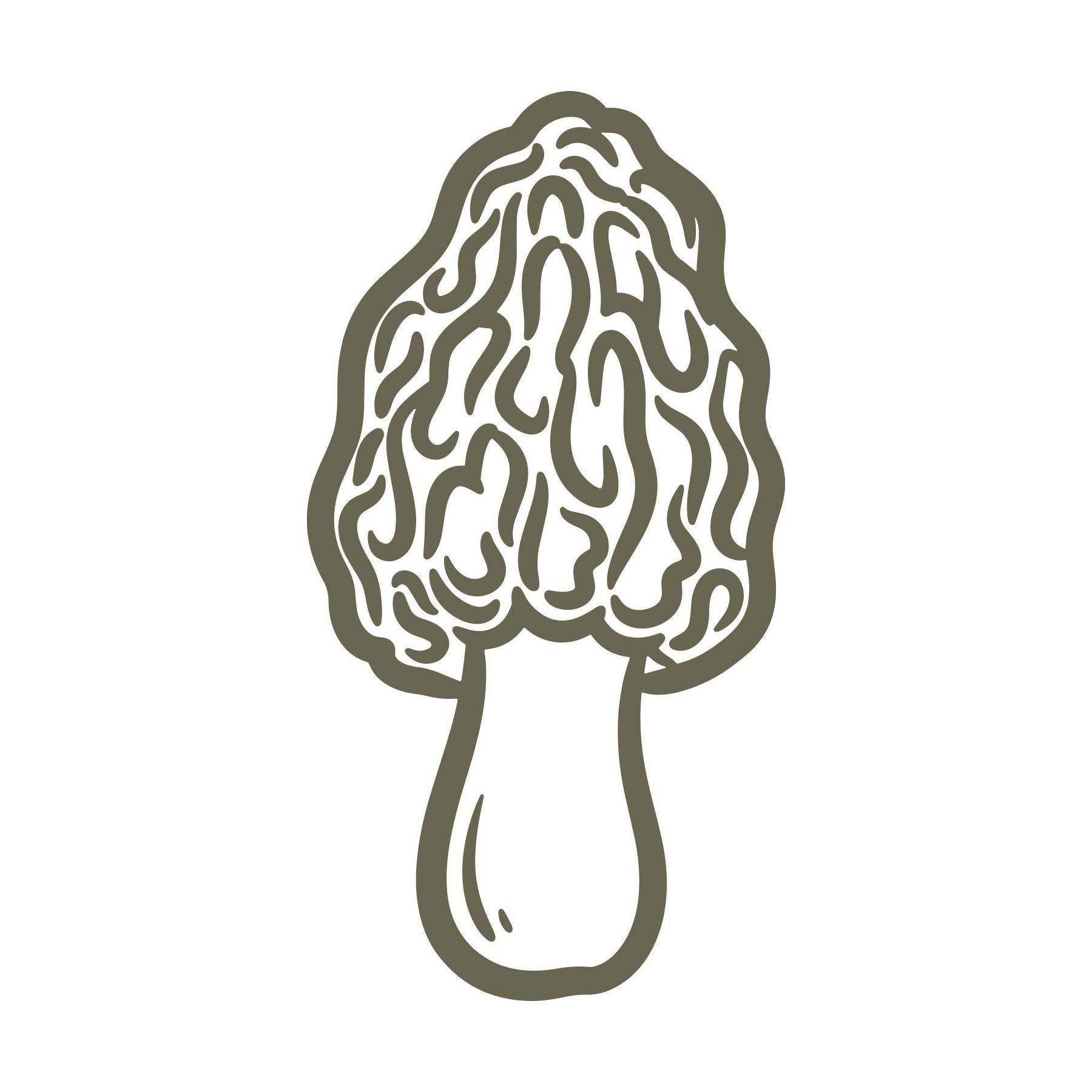 Morel Mushroom Delrin Leather Stamp
