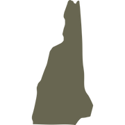 New Hampshire State Shape Delrin Leather Stamp