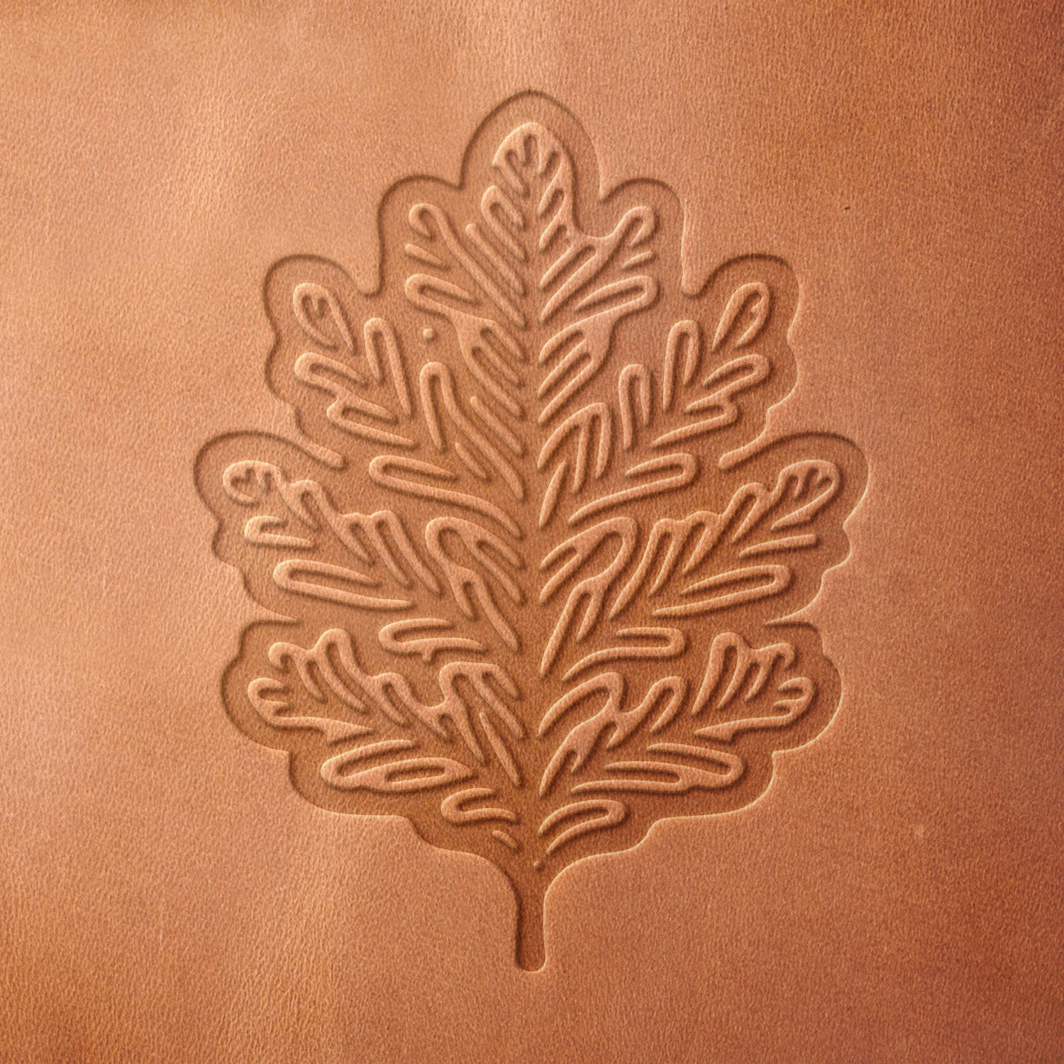 Oak Leaf Delrin Leather Stamp