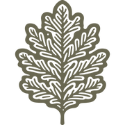 Ornate oak leaf design with intricate detailing, perfect for nature-themed leathercraft projects.