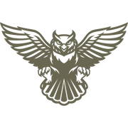 Detailed owl design with outstretched wings, fierce gaze, and intricate feather details, capturing the essence of wisdom and power.